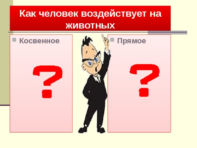 Как человек воздействует на животных Косвенное Прямое 