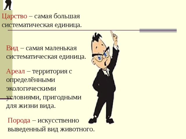 Царство – самая большая систематическая единица. Вид – самая маленькая систематическая единица. Ареал – территория с определёнными экологическими условиями, пригодными для жизни вида. Порода – искусственно выведенный вид животного. 