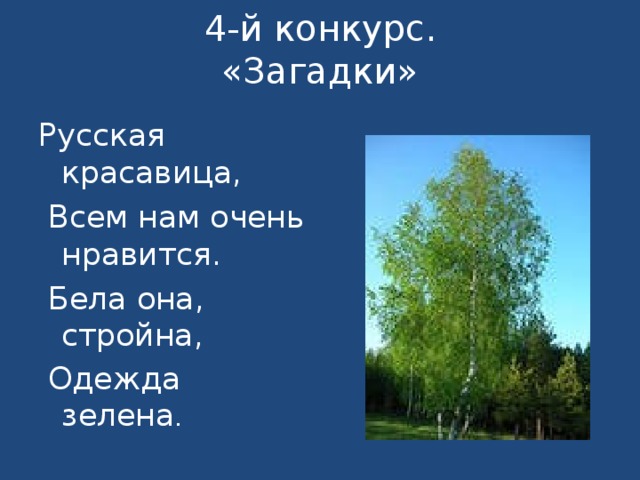4-й конкурс.  «Загадки»   Русская красавица,  Всем нам очень нравится.  Бела она, стройна,  Одежда зелена . 