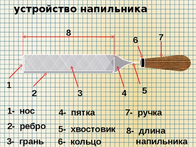 устройство напильника 8 7 6 1 5 2 3 4 1- нос 7- ручка 4- пятка 2- ребро 5- хвостовик 8- длина  напильника 3- грань 6- кольцо 