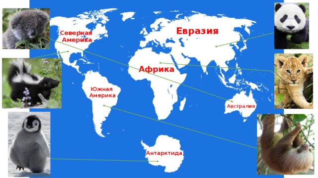 Евразия Северная Америка Африка Южная Америка Австралия Антарктида 