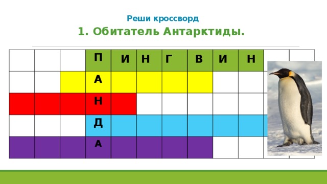 Реши кроссворд   1. Обитатель Антарктиды. П А Н Д А И Н Г В И Н  
