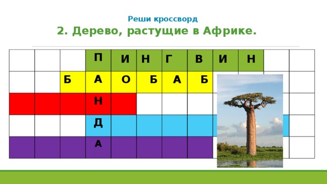 Реши кроссворд   2. Дерево, растущие в Африке. П А Н Д А И Н Г В И Н Б О Б А Б  