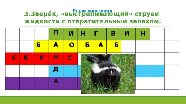 Реши кроссворд   3.Зверёк, «выстреливающий» струей жидкости с отвратительным запахом. П А Н Д А И Н Г В И Н Б О Б А Б С К У С  