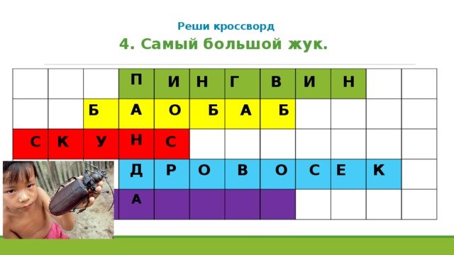 Реши кроссворд   4. Самый большой жук. П А Н Д А И Н Г В И Н Б О Б А Б С К У С Р О В О С Е К  