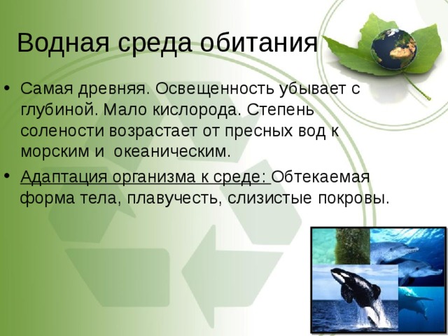 Водная среда обитания Самая древняя. Освещенность убывает с глубиной. Мало кислорода. Степень солености возрастает от пресных вод к морским и  океаническим.  Адаптация организма к среде: Обтекаемая форма тела, плавучесть, слизистые покровы.  