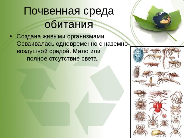 Почвенная среда обитания Создана живыми организмами. Осваивалась одновременно с наземно-воздушной средой. Мало или полное отсутствие света. 