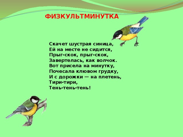 ФИЗКУЛЬТМИНУТКА Скачет шустрая синица,  Ей на месте не сидится,  Прыг-скок, прыг-скок,  Завертелась, как волчок.  Вот присела на минутку,  Почесала клювом грудку,  И с дорожки — на плетень,  Тири-тири,  Тень-тень-тень! 