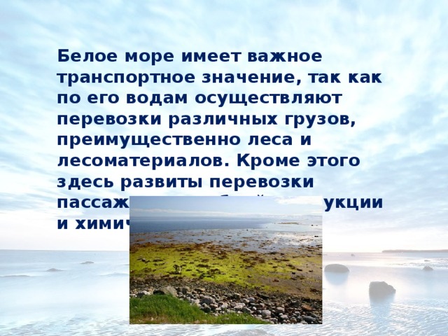 Белое море имеет важное транспортное значение, так как по его водам осуществляют перевозки различных грузов, преимущественно леса и лесоматериалов. Кроме этого здесь развиты перевозки пассажиров, рыбной продукции и химических грузов. 