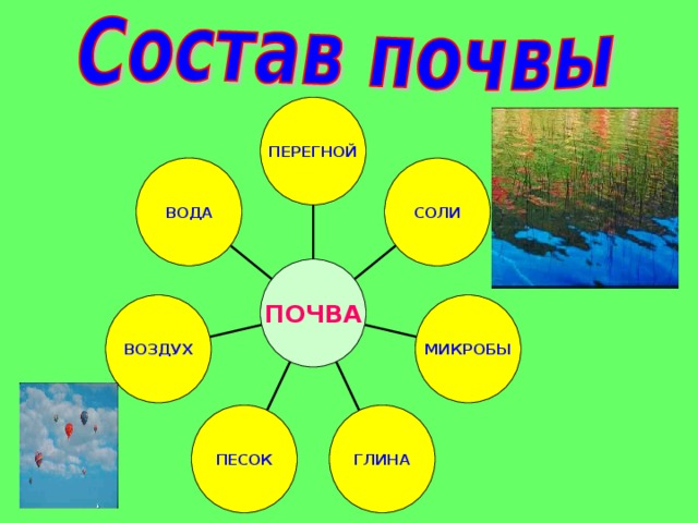 ПЕРЕГНОЙ ВОДА СОЛИ ПОЧВА МИКРОБЫ ВОЗДУХ ГЛИНА ПЕСОК 