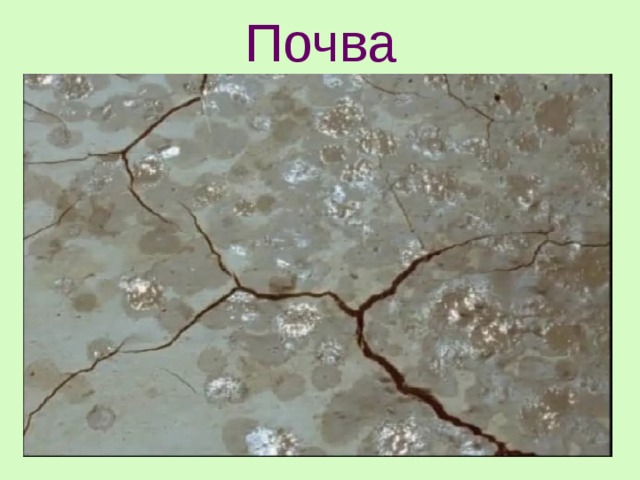 Почва 