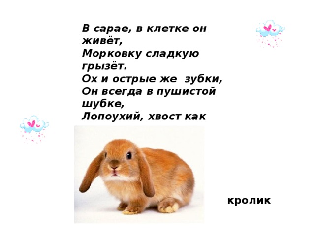 В сарае, в клетке он живёт,  Морковку сладкую грызёт.  Ох и острые же  зубки,  Он всегда в пушистой шубке,  Лопоухий, хвост как нолик.  Все узнали это… кролик 