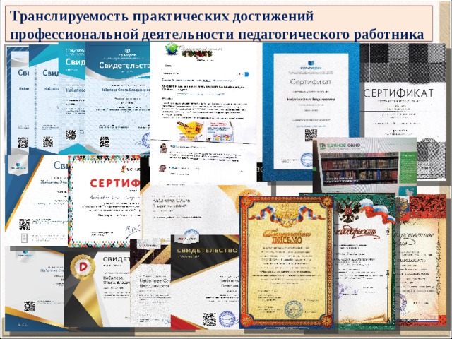 Транслируемость практических достижений профессиональной деятельности педагогического работника 