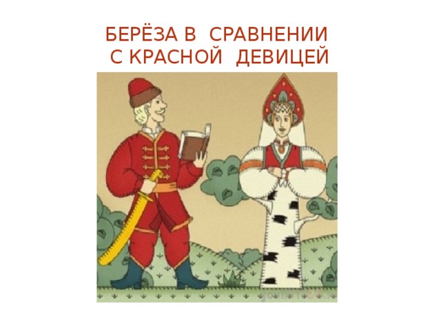 Берёза в сравнении  с красной девицей 