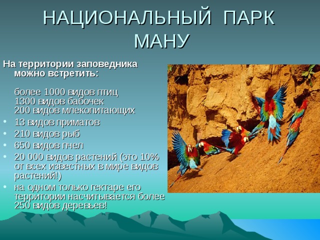 НАЦИОНАЛЬНЫЙ ПАРК МАНУ На территории заповедника можно встретить:   более 1000 видов птиц  1300 видов бабочек  200 видов млекопитающих 13 видов приматов 210 видов рыб 650 видов пчел 20 000 видов растений (это 10% от всех известных в мире видов растений!) на одном только гектаре его территории насчитывается более 250 видов деревьев! 