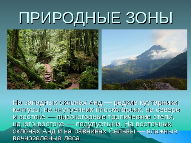 ПРИРОДНЫЕ ЗОНЫ  На западных склонах Анд — редкие кустарники, кактусы; на внутренних плоскогорьях, на севере и востоке — высокогорные тропические степи, на юго-востоке — полупустыни. На восточных склонах Анд и на равнинах Сельвы — влажные вечнозеленые леса. 