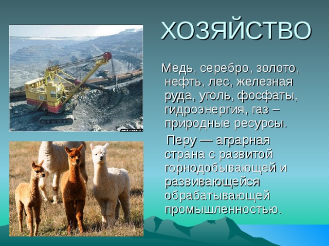  ХОЗЯЙСТВО  Медь, серебро, золото, нефть, лес, железная руда, уголь, фосфаты, гидроэнергия, газ – природные ресурсы.  Перу — аграрная страна с развитой горнодобывающей и развивающейся обрабатывающей промышленностью. 