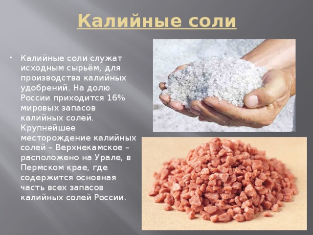 Калийные соли Калийные соли служат исходным сырьём, для производства калийных удобрений. На долю России приходится 16% мировых запасов калийных солей. Крупнейшее месторождение калийных солей – Верхнекамское – расположено на Урале, в Пермском крае, где содержится основная часть всех запасов калийных солей России. 