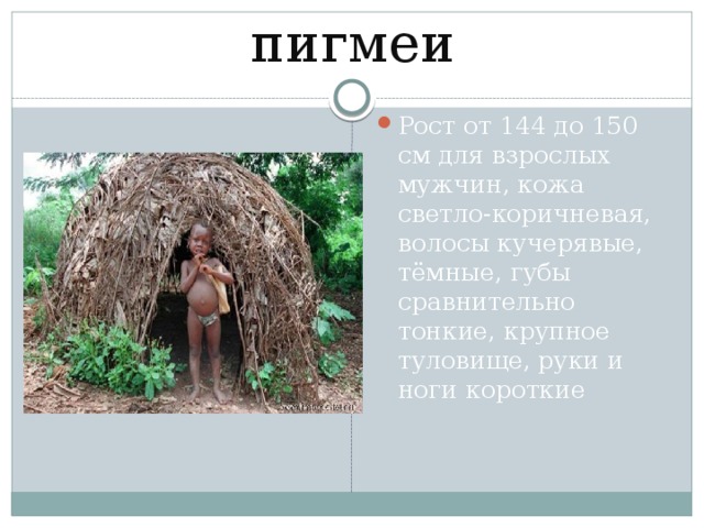 пигмеи Рост от 144 до 150 см для взрослых мужчин, кожа светло-коричневая, волосы кучерявые, тёмные, губы сравнительно тонкие, крупное туловище, руки и ноги короткие 