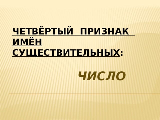 Четвёртый признак имён существительных :    число 