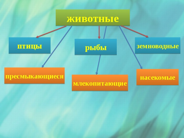 животные птицы земноводные рыбы пресмыкающиеся насекомые млекопитающие  