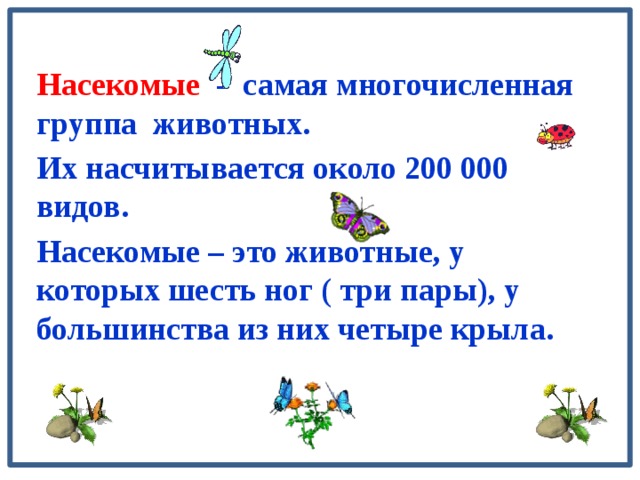 Насекомые - самая многочисленная группа животных. Их насчитывается около 200 000 видов. Насекомые – это животные, у которых шесть ног ( три пары), у большинства из них четыре крыла.  