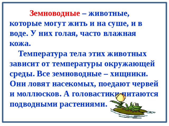  Земноводные – животные, которые могут жить и на суше, и в воде. У них голая, часто влажная кожа.  Температура тела этих животных зависит от температуры окружающей среды. Все земноводные – хищники. Они ловят насекомых, поедают червей и моллюсков. А головастики питаются подводными растениями.  