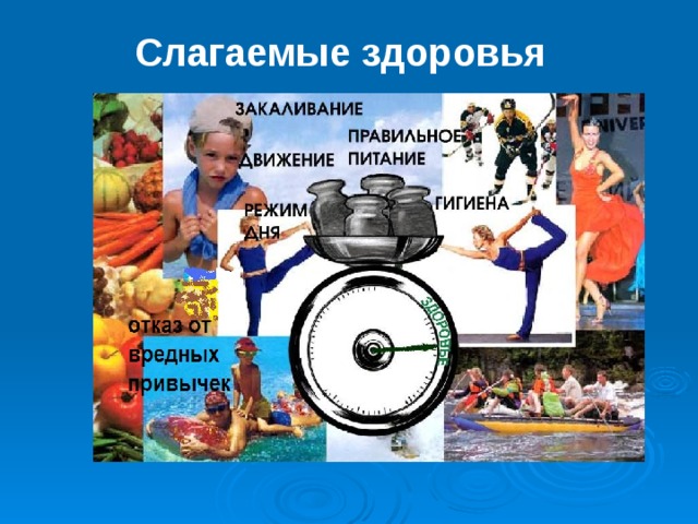 Слагаемые здоровья 