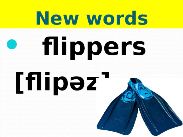 New words  flippers  [flip ǝz ] 