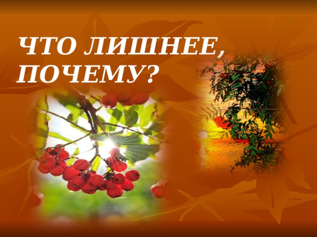 ЧТО ЛИШНЕЕ, ПОЧЕМУ? 