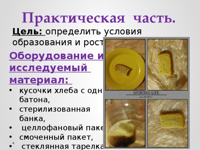 Практическая часть. Цель: определить условия образования и роста плесени . Оборудование и исследуемый материал: кусочки хлеба с одного батона, стерилизованная банка,  целлофановый пакет, смоченный пакет,  стеклянная тарелка . 