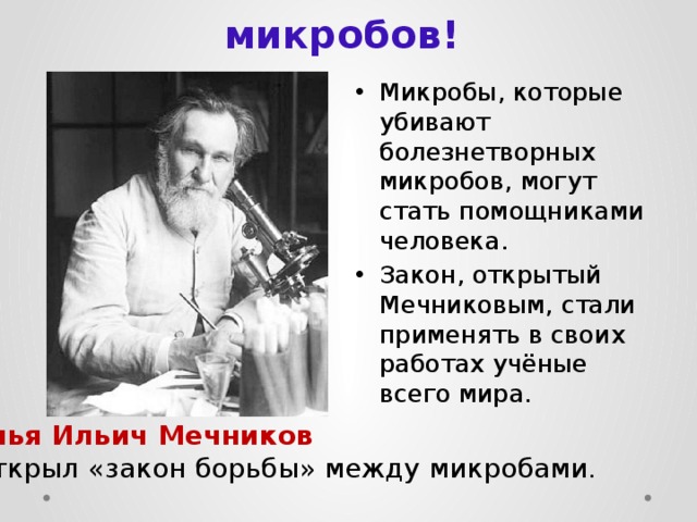 Микробы против микробов!   Микробы, которые убивают болезнетворных микробов, могут стать помощниками человека. Закон, открытый Мечниковым, стали применять в своих работах учёные всего мира. Илья Ильич Мечников  открыл «закон борьбы» между микробами . 