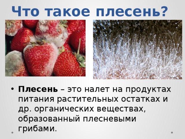 Что такое плесень? Плесень – это налет на продуктах питания растительных остатках и др. органических веществах, образованный плесневыми грибами. 