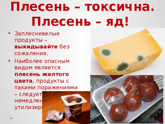 Плесень – токсична. Плесень – яд! Заплесневелые продукты – выкидывайте без сожаления. Наиболее опасным видом является плесень желтого цвета , продукты с такими поражениями – следует немедленно утилизировать. 