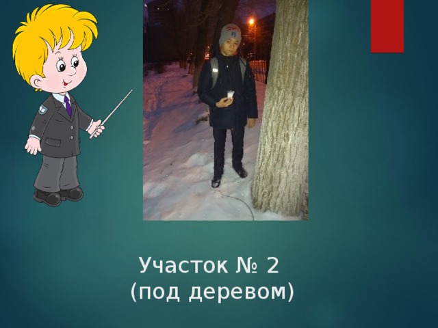 Участок № 2  (под деревом) 