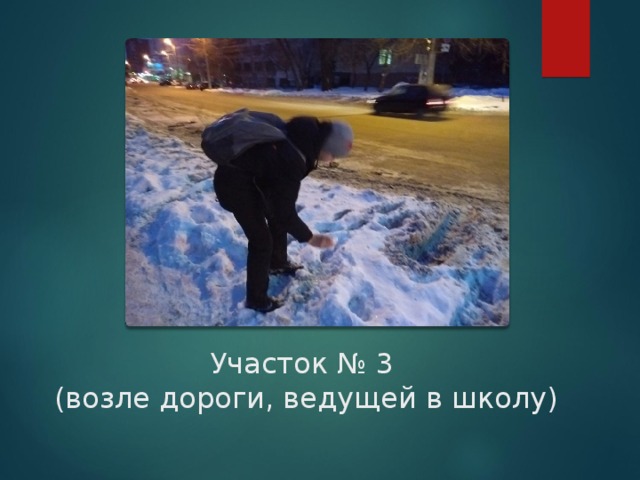 Участок № 3  (возле дороги, ведущей в школу) 
