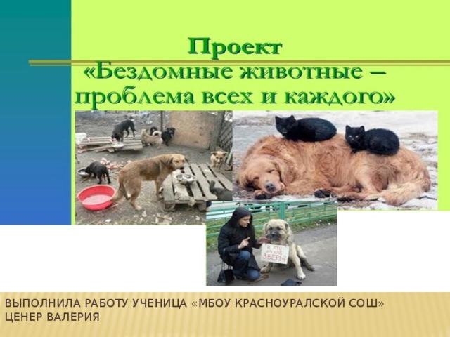 Выполнила работу ученица «МБОУ Красноуралской СОШ» Ценер Валерия 