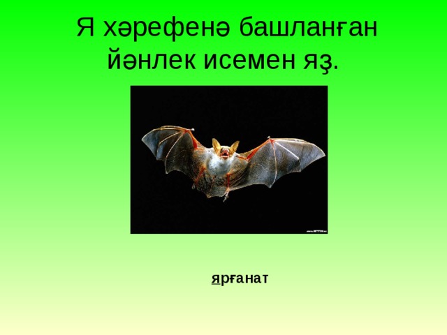  Я х әрефенә башланған йәнлек исемен яҙ. я рғанат 