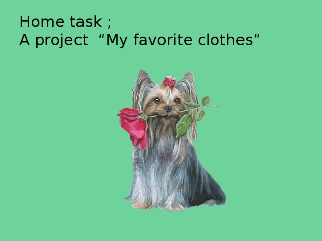 Home task ;  A project “My favorite clothes” 