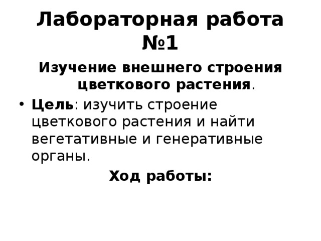 Лабораторная работа №1 Изучение внешнего строения цветкового растения . Цель : изучить строение цветкового растения и найти вегетативные и генеративные органы. Ход работы: 