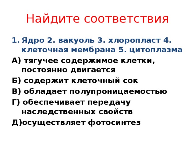 Найдите соответствия Ядро 2. вакуоль 3. хлоропласт 4. клеточная мембрана 5. цитоплазма А) тягучее содержимое клетки, постоянно двигается Б) содержит клеточный сок В) обладает полупроницаемостью Г) обеспечивает передачу наследственных свойств Д)осуществляет фотосинтез 