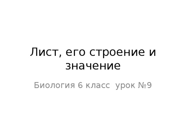 Лист, его строение и значение Биология 6 класс урок №9 
