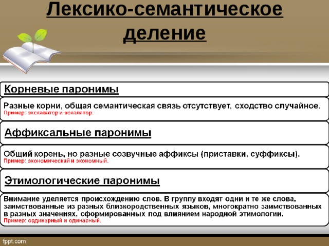 Лексико-семантическое деление   