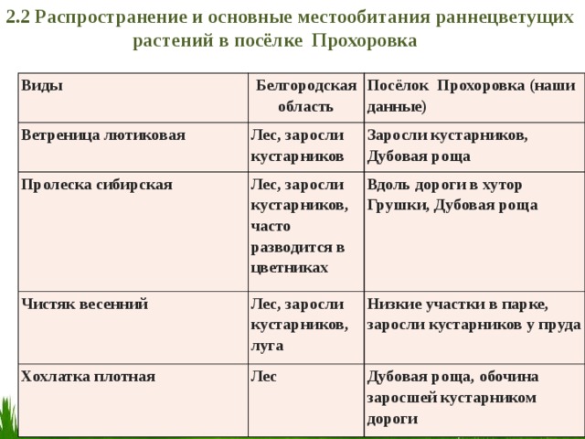 2.2 Распространение и основные местообитания раннецветущих  растений в посёлке Прохоровка Виды Ветреница лютиковая Белгородская область Пролеска сибирская Лес, заросли кустарников Посёлок Прохоровка (наши данные) Заросли кустарников, Дубовая роща Лес, заросли кустарников, часто разводится в цветниках Чистяк весенний Вдоль дороги в хутор Грушки, Дубовая роща Лес, заросли кустарников, луга Хохлатка плотная Низкие участки в парке, заросли кустарников у пруда Лес Дубовая роща, обочина заросшей кустарником дороги 
