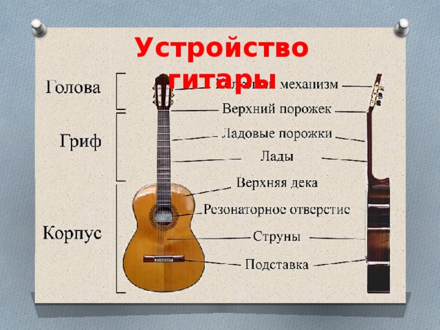 Устройство гитары 