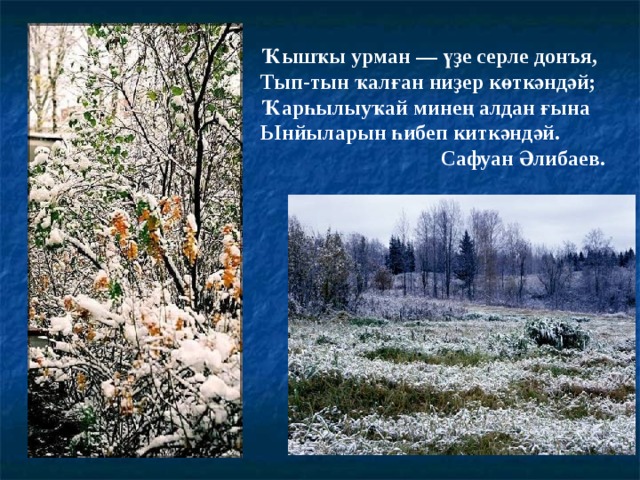 Ҡышҡы урман — үҙе серле донъя, Тып-тын ҡалған ниҙер көткәндәй; Ҡарһылыуҡай минең алдан ғына Ынйыларын һибеп киткәндәй.  Сафуан Әлибаев. 