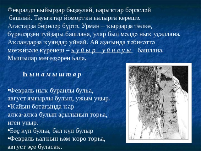 Февралдә һыйырҙар быҙаулай, һарыҡтар бәрәсләй  башлай. Тауыҡтар йомортҡа һалырға керешә. Ағастарҙа бөрөләр бүртә. Урман – ҡырҙарҙа төлкө, бүреләрҙең туйҙары башлана, улар был мәлдә ныҡ уҫаллана. Аҡландарҙа ҡуяндар уйнай. Ай аҙағында тәбиғәттә мөғжизәле күренеш – һ у й ы р у й н а у ы башлана. Мышылар мөгөҙҙәрен һала .  Һ ы н а м ы ш т а р Февраль ныҡ буранлы булһа, август ямғырлы булып, ужым уңыр. Ҡайын ботағында ҡар алҡа-алҡа булып аҫылынып торһа, иген уңыр. Бәҫ күп булһа, бал күп булыр Февраль һалҡын һәм ҡоро торһа, август эҫе буласаҡ.  