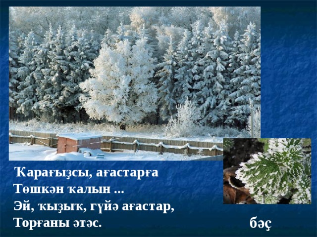 Ҡарағыҙсы, ағастарға Төшкән ҡалын ... Эй, ҡыҙыҡ, гүйә ағастар, Торғаны әтәс. бәҫ 
