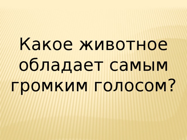 Какое животное обладает самым громким голосом? 