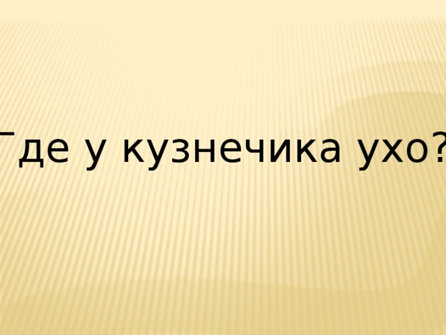 Где у кузнечика ухо? 